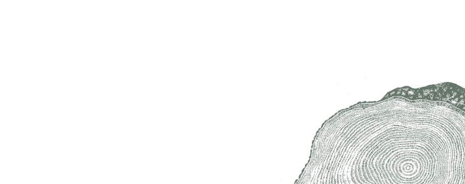 佳順大富｜高發二路 & 歸仁五路口｜06.596-6688