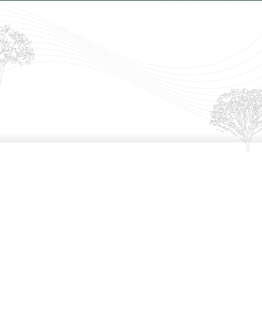軌道經濟 縱橫南北 台南大富