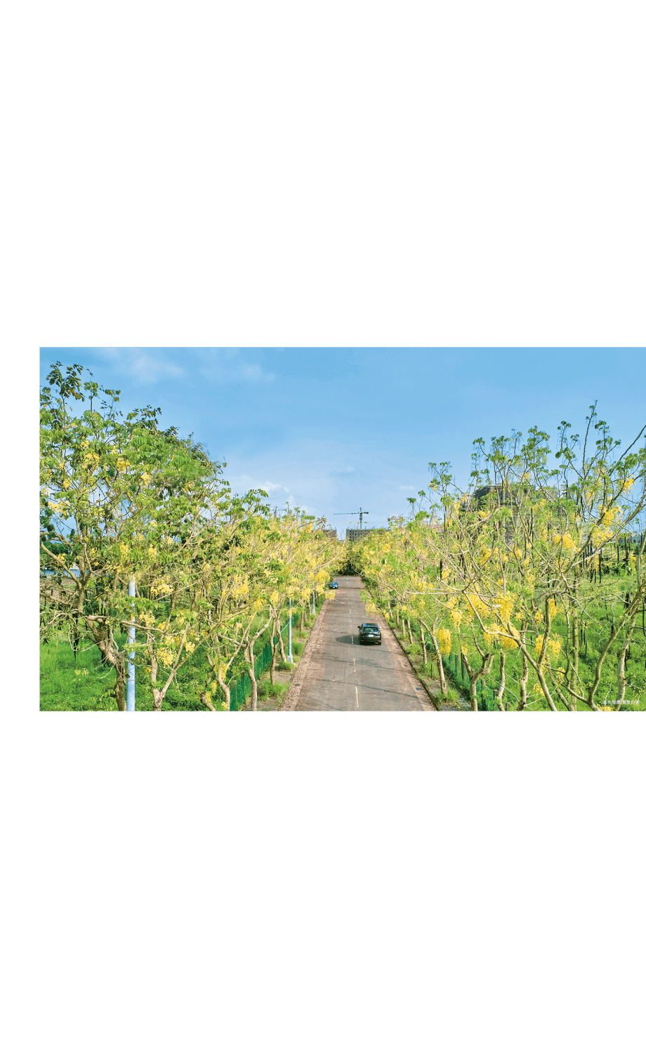 3800坪綠海·公園無價視野 & 對位國際綠境·豪宅隱富落
